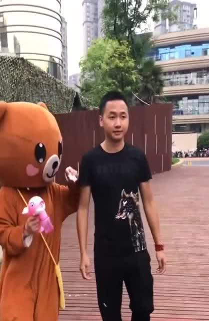 网红熊能干嘛,揭秘熊界的全能明星